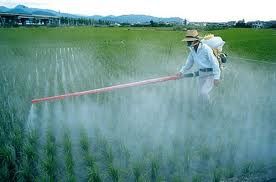 POR FERTILIZANTES