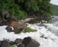 POR AGUAS JABONOSAS